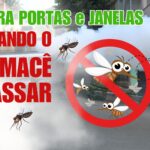 Aragarças está combatendo a dengue com todas as armas disponíveis!